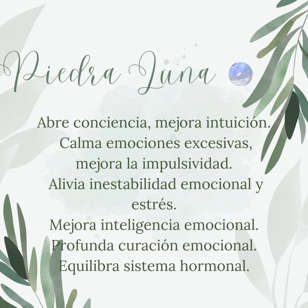 Collar Tar Abanico 15 Collar Tar Abanico - Imagen 15