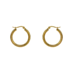 Aros Mara · 2 Tamaños -Alvent Tienda de ventas AROS DANA ORO ALVENT