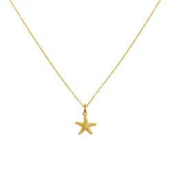 Collar Estrella Mar