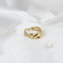 Anillo Trenatto -Alvent Tienda de ventas IMG 7311 scaled