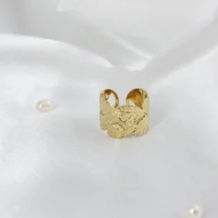 Anillo Riscco -Alvent Tienda de ventas IMG 7322 scaled